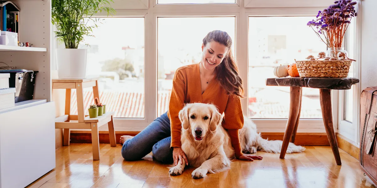 Animais em condomínios: direitos e deveres do tutor