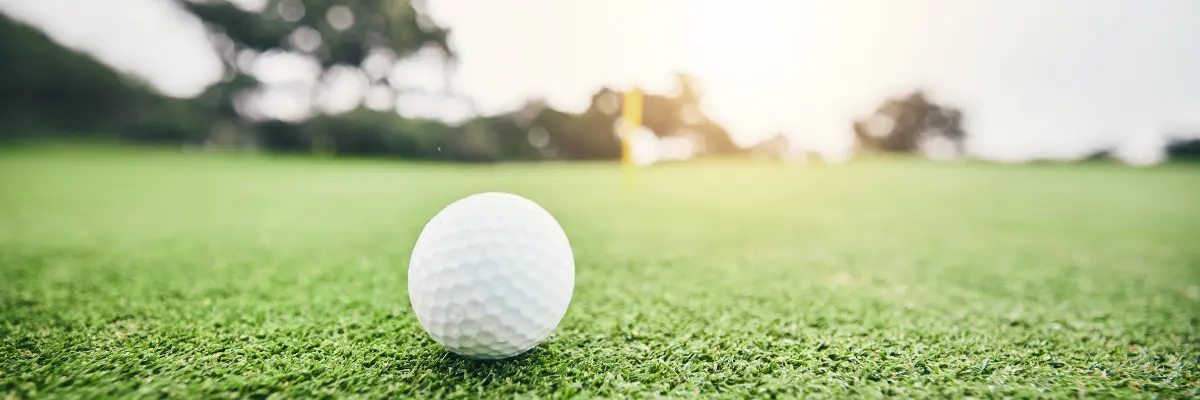Imagem de um campo de golfe ao entardecer.