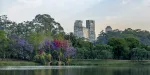 Imagem do bairro Ibirapuera, em São Paulo.