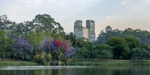 Bairro de SP supera Leblon e se torna bairro com m² mais caro do país