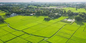 10 estratégias de como vender um terreno rápido